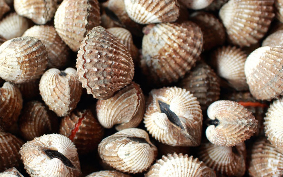 Những món thực phẩm độc có thể gây chết người - 4 Những món thực phẩm độc có thể gây chết người - 4