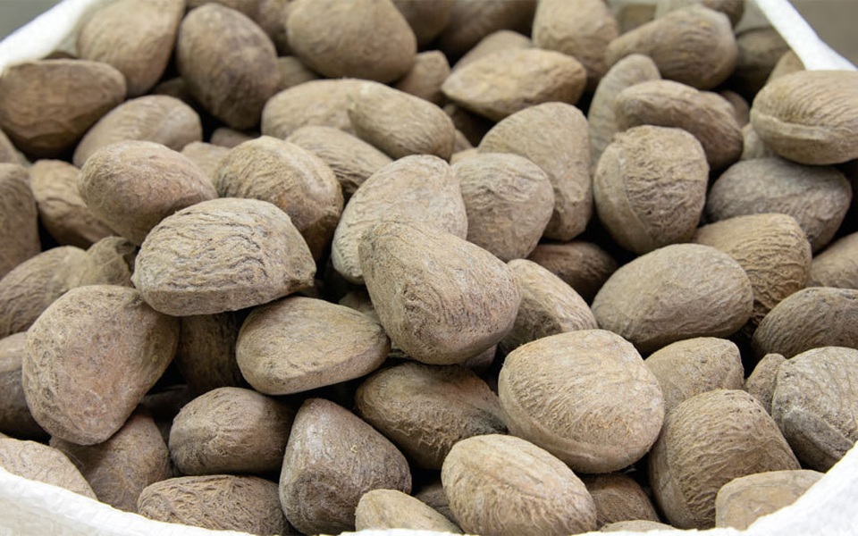 Những món thực phẩm độc có thể gây chết người - 7 Những món thực phẩm độc có thể gây chết người - 7