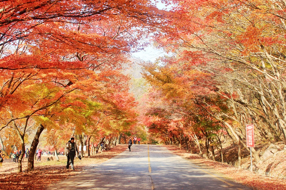 Những điểm đến mùa thu lý tưởng trên thế giới - 3 Những điểm đến mùa thu lý tưởng trên thế giới - 3