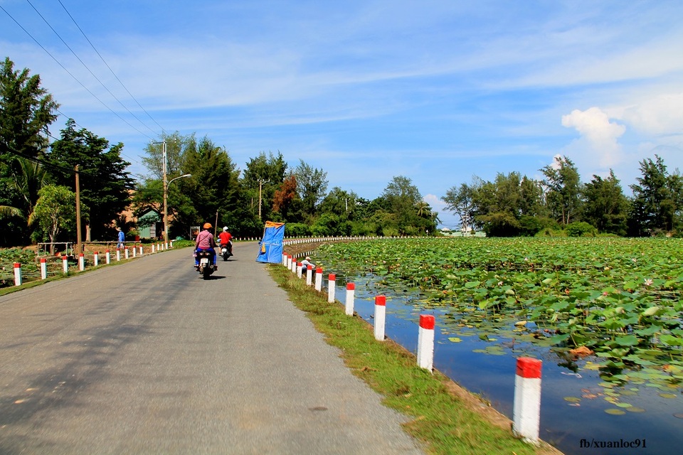 Chiêm ngưỡng cảnh sắc đẹp bình yên nơi Côn Đảo - 5