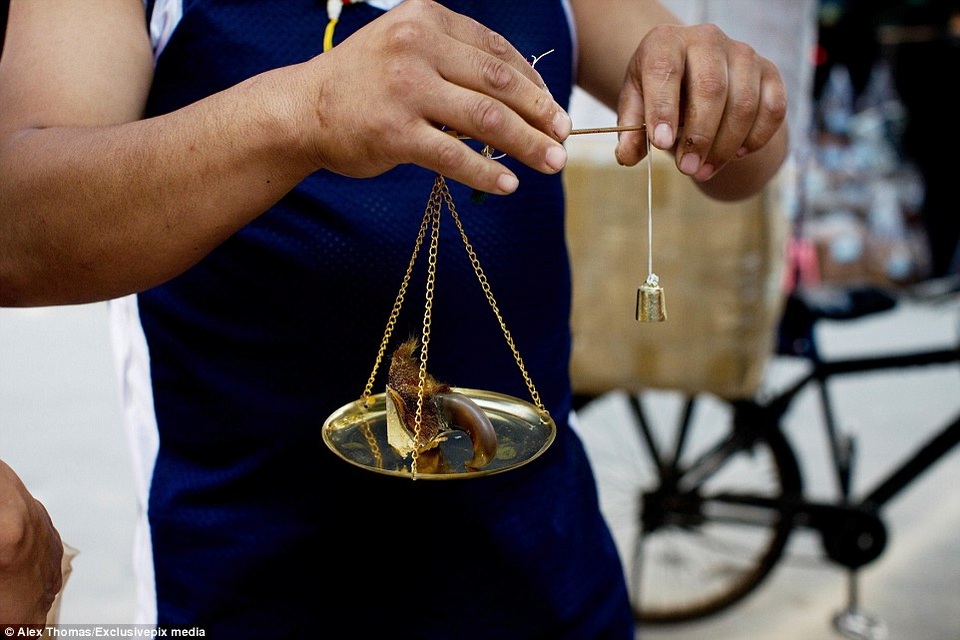 Người bán hàng đang cân một chiếc móng vuốt hổ cho khách.