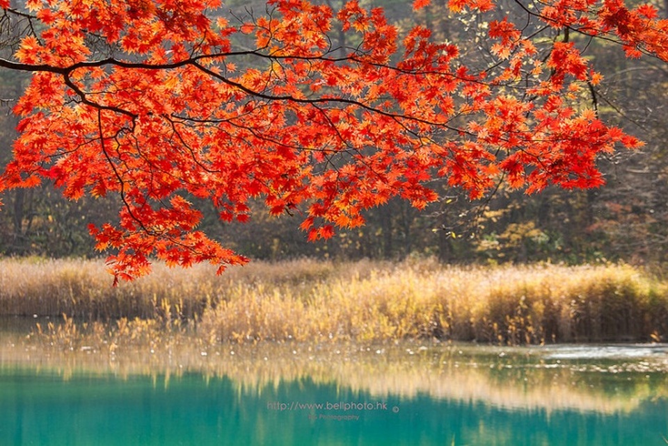 Lặng ngắm vẻ đẹp bình yên bất tận của hồ ngũ sắc Goshiki-numa - 7
Tour trọn gói tham khảo của Vietravel Hà Nội, bay hàng không Vietnam Airlines:Ngắm lá đỏ, Hái trái cây theo mùa: Ibaraki – Fukushima – Núi Phú Sỹ - Tokyo – Odaiba (5 ngày)Khởi hành: 22/10; 12,26/11; 10,31/12 – Giá từ: 32.9 triệu