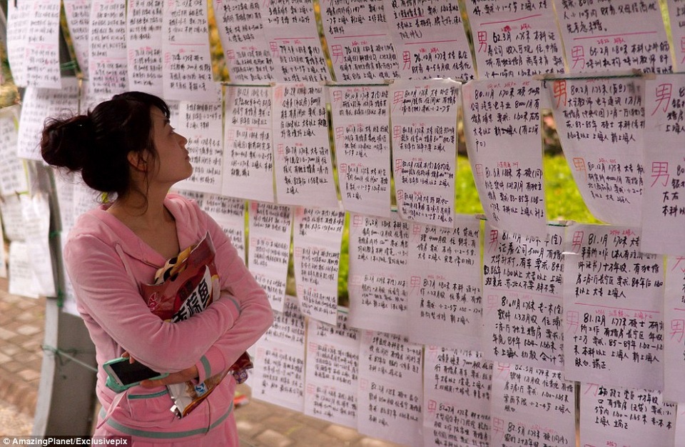 Bên trong khu chợ... mai mối hôn nhân độc đáo ở Thượng Hải - 8 Một cô gái đang chăm chú đọc thông tin quảng cáo