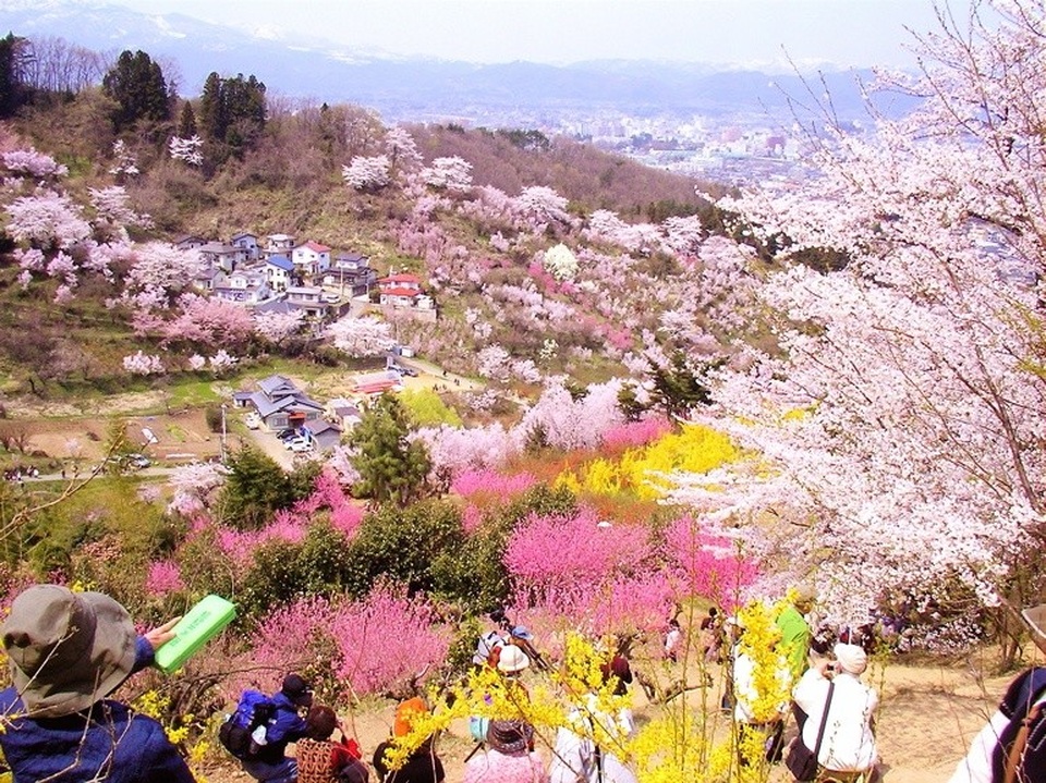 Fukushima hồi sinh mạnh mẽ từ "vùng đất chết" - 4 Fukushima hồi sinh mạnh mẽ từ "vùng đất chết" - 4