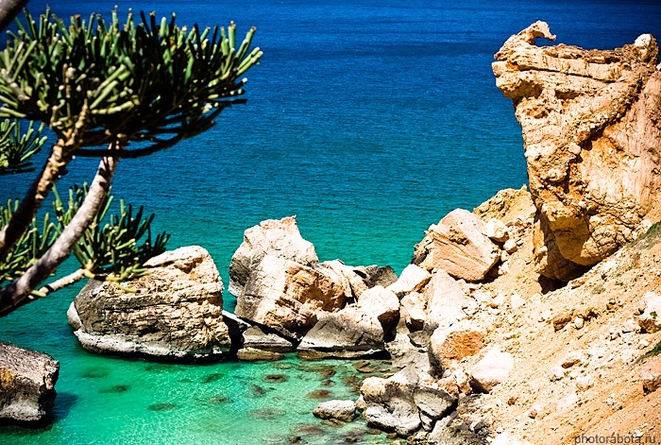Khám phá hòn đảo kỳ lạ như ngoài hành tinh - 1 Socotra như thế giới ngoài hành tinh