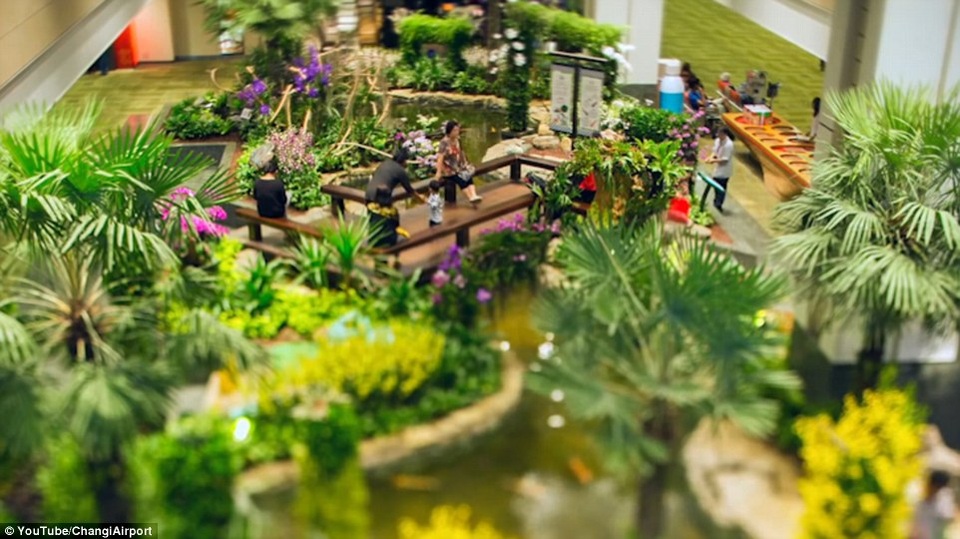 Vì sao sân bay Changi Singapore luôn được bình chọn tốt nhất thế giới? - 4 Quang cảnh thiên nhiên tươi tốt bên trong sân bay.