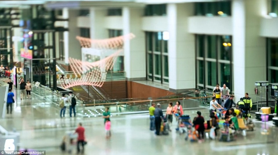 Vì sao sân bay Changi Singapore luôn được bình chọn tốt nhất thế giới? - 7 Mỗi ngày, Changi đón tiếp hơn 145.000 lượt khách và nhận giải thưởng cao quý do Skytrax bình chọn hồi tháng 3 vừa qua.