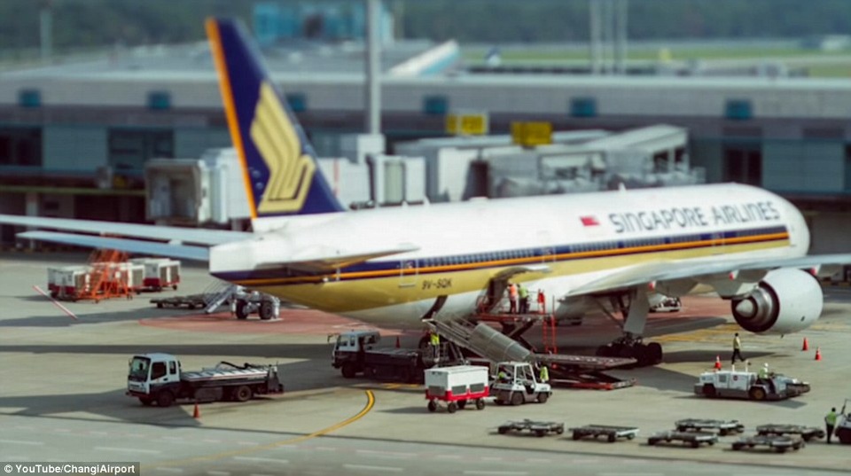 Vì sao sân bay Changi Singapore luôn được bình chọn tốt nhất thế giới? - 8 Ngoài đường băng, những chiếc máy khổng lồ được làm sạch và kiểm tra. Trong khi đó, hàng hóa xếp lên máy bay nhanh chóng và tiện lợi.