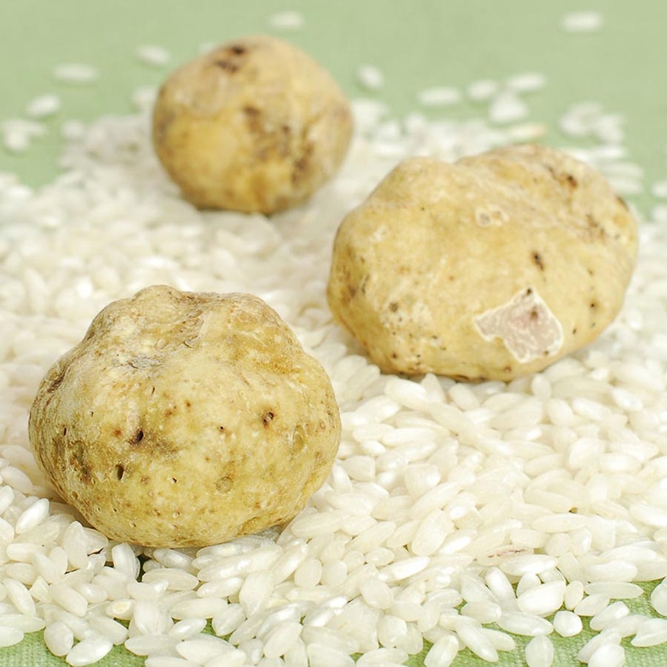 "Vua của các loại nấm" được ví như "kim cương đen trong thực phẩm" - 1 Nấm truffle trắng là một trong những thực phẩm đắt đỏ nhất thế giới