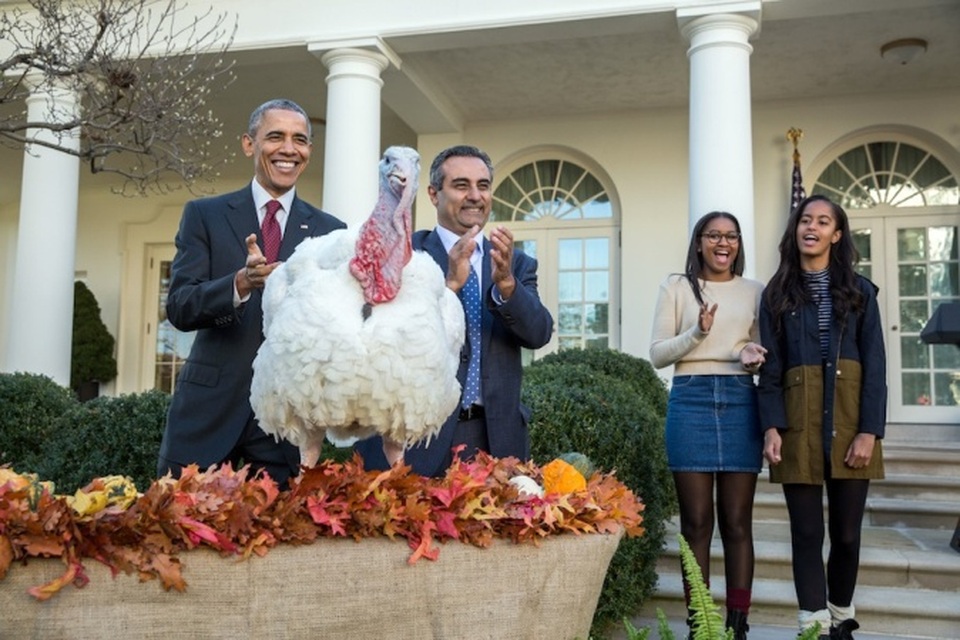Tại sao gà tây là món ăn không thể thiếu trong lễ Tạ Ơn - 3 Tổng thống Obama trong lễ “ân xá” cho gà tây tại Nhà Trắng hôm 23/11 vừa qua
