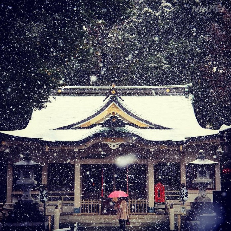 Tuyết rơi đầu mùa biến Tokyo thành xứ thần tiên - 4 Mái đền chùa cổ kính cũng phủ màu trắng xóa