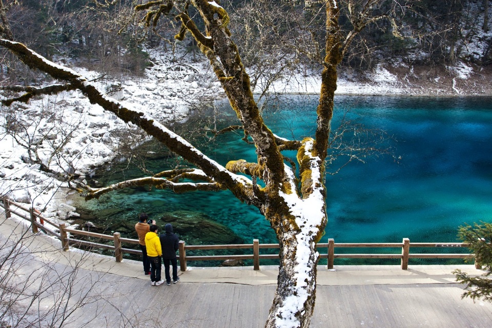 Cửu Trại Câu thời khắc giao mùa: "Thiên đường" có thật - 4 Tuy dịp đông, khách du lịch không nhộn nhịp như thường lệ, nhưng mùa này vẫn có sức quyến rũ riêng của nó