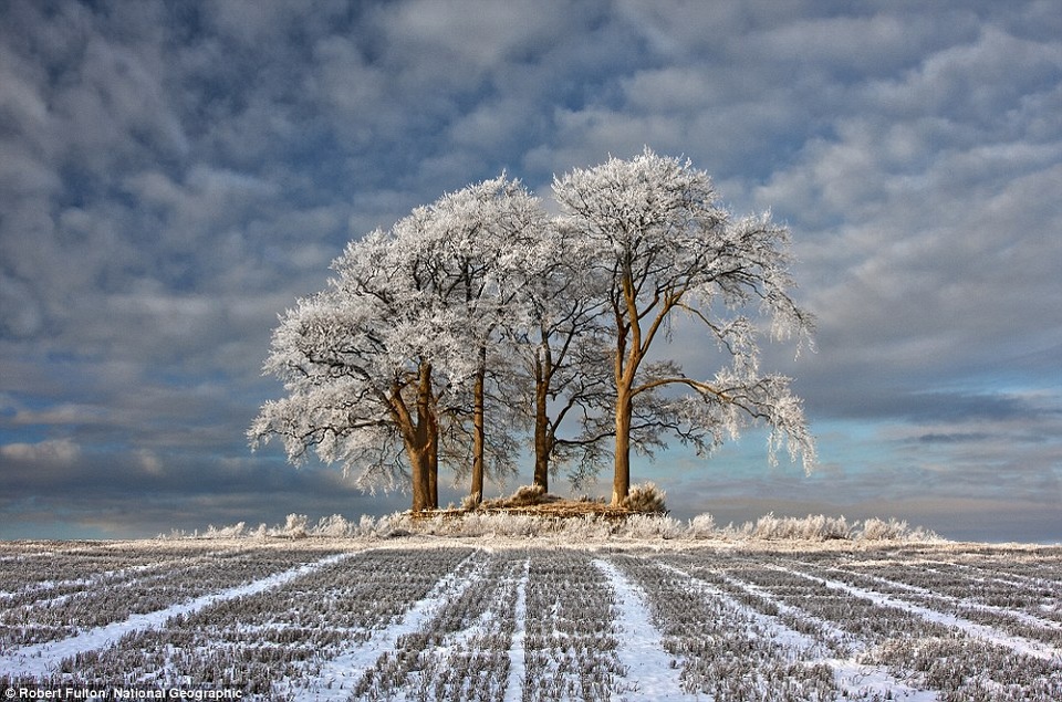 Cánh đồng trong màn tuyết mờ ảo của mùa đông trắng ở Stirlingshire, Scotland.
