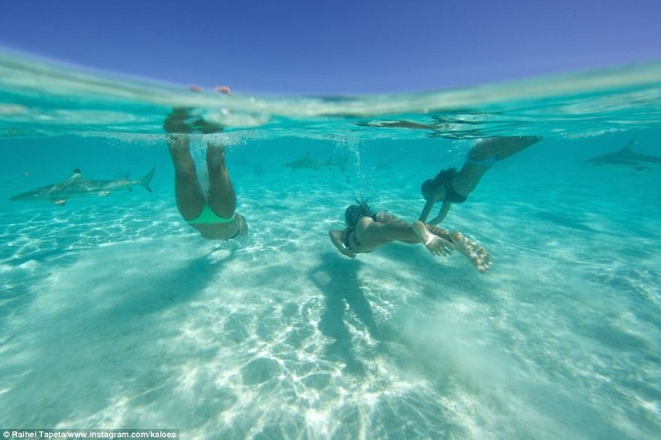 Mỹ nhân liều mình bơi cùng "những kẻ săn mồi đáng sợ nhất" đại dương - 6 Bơi cùng bầy cá mập