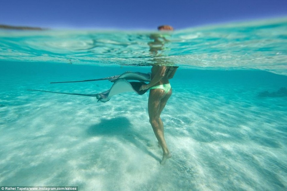 Mỹ nhân liều mình bơi cùng "những kẻ săn mồi đáng sợ nhất" đại dương - 8 Cá đuối biển gai độc thường không chủ động tấn công con người