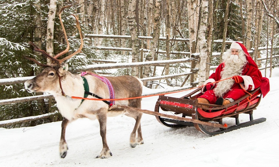 Đến thăm quê hương của ông già Noel - 5 Tuần lộc chở ông già Tuyết đi quanh làng