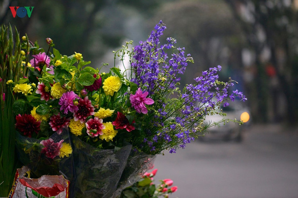 Xuân về trên khắp phố phường Hà Nội - 7 Hoa của mùa xuân