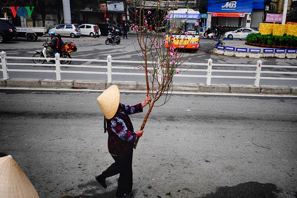 Xuân về trên khắp phố phường Hà Nội - 9 Chọn được một cành đào ưng ý.