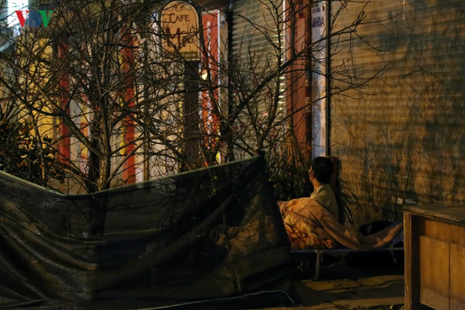 Người đàn ông này thấp thỏm không yên mỗi khi có tiếng động lạ xung quanh khu bán đào rừng có giá trị cao của gia đình.