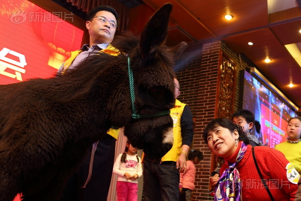 Muôn kiểu thưởng tết độc lạ của Trung Quốc - 6 Muôn kiểu thưởng tết độc lạ của Trung Quốc - 6