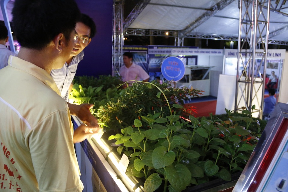 Mô hình vườn trồng rau hữu cơ