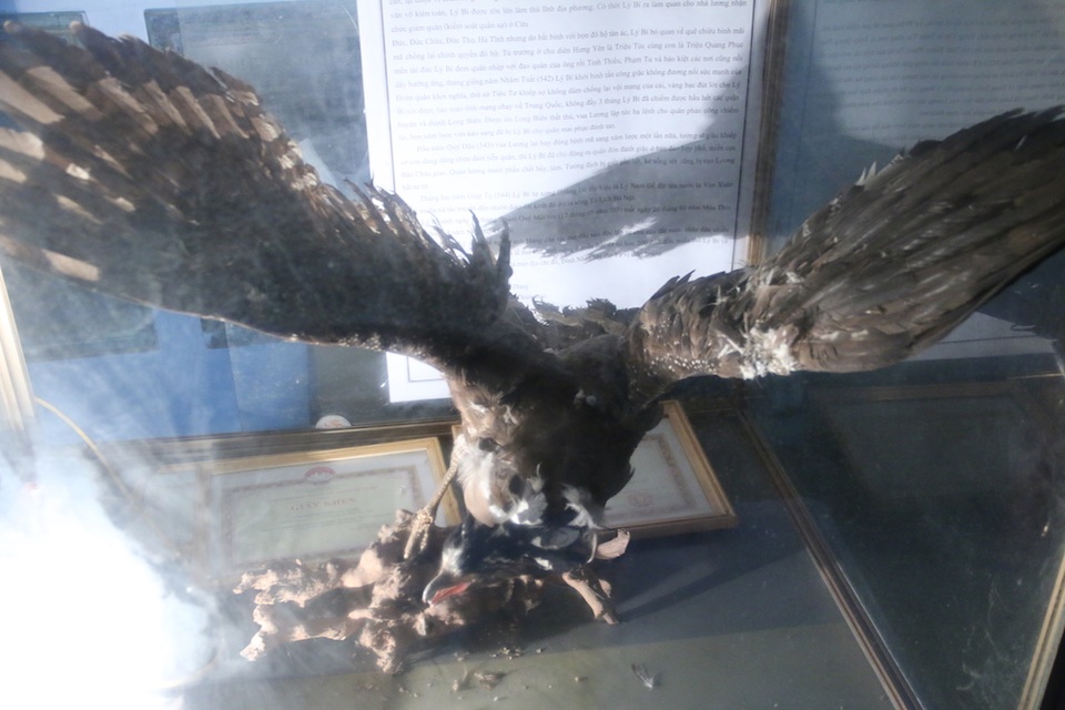
Xác chim đại bàng đất được đặt trong một chiếc lồng kính cao khoảng 1,2m, dài 1,5m, rộng khoảng 80cm. Từ năm 2003 đến nay đã 13 năm nhưng xác chim không bị bọ hay mọt ăn. Ở làng Nhân Mỹ, mọi người đều có trách nhiệm bảo quản chim, nhưng công việc bảo quản chính được giao cho các thủ từ, ban quản lý di tích đình và hội người cao tuổi.
