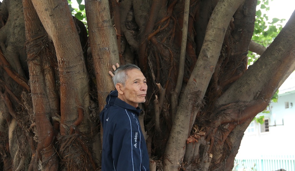 
Ông Phùng Hữu Bất - chủ từ đình làng Nhân Mỹ - là người đã trông coi đình hàng chục năm và trực tiếp bảo quản xác chim đại bàng đất. Theo ông Bất, chim được người dân trong làng vô cùng yêu quý, gọi chim bằng ông. Thời còn sống chim đại bàng đất có khả năng dự báo thời tiết, nắng mưa chỉ qua những tiếng kêu.
