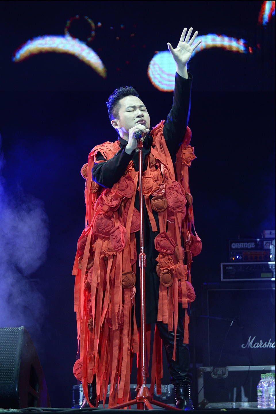 Diva Thanh Lam phấn khích cổ vũ hết mình cho Tùng Dương - 1