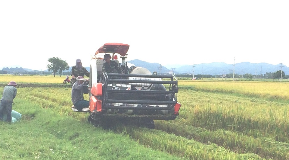 Để được gặt lúa, mỗi chủ máy phải nạp 2 triệu đồng.