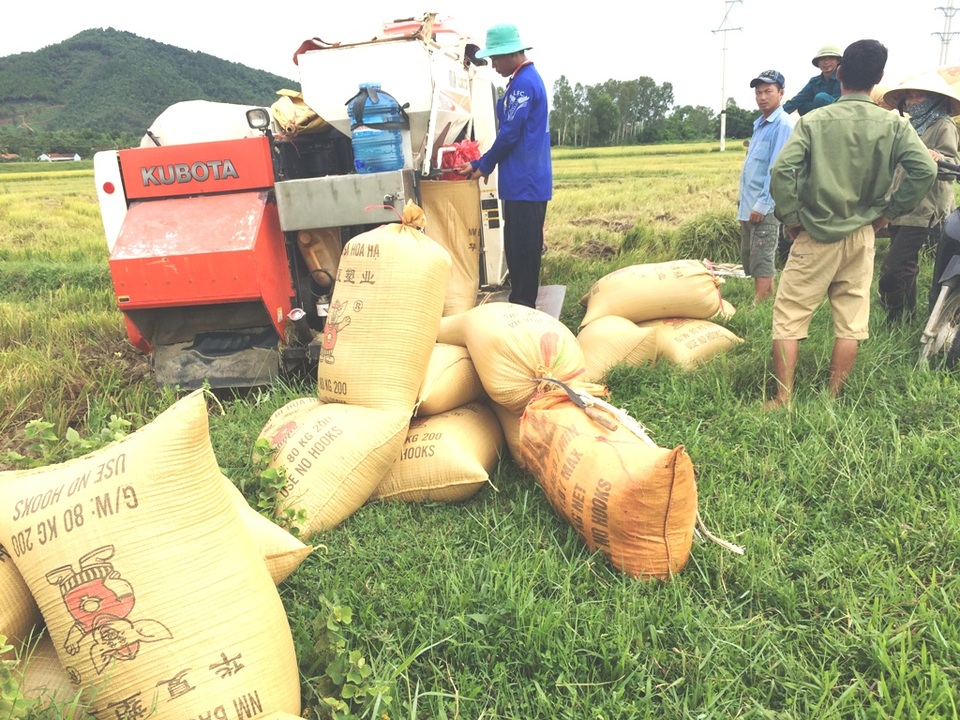 Máy gặt lúa phải đóng 2 triệu đồng đang gây bức xúc cho người dân ở xã Bắc Thành.