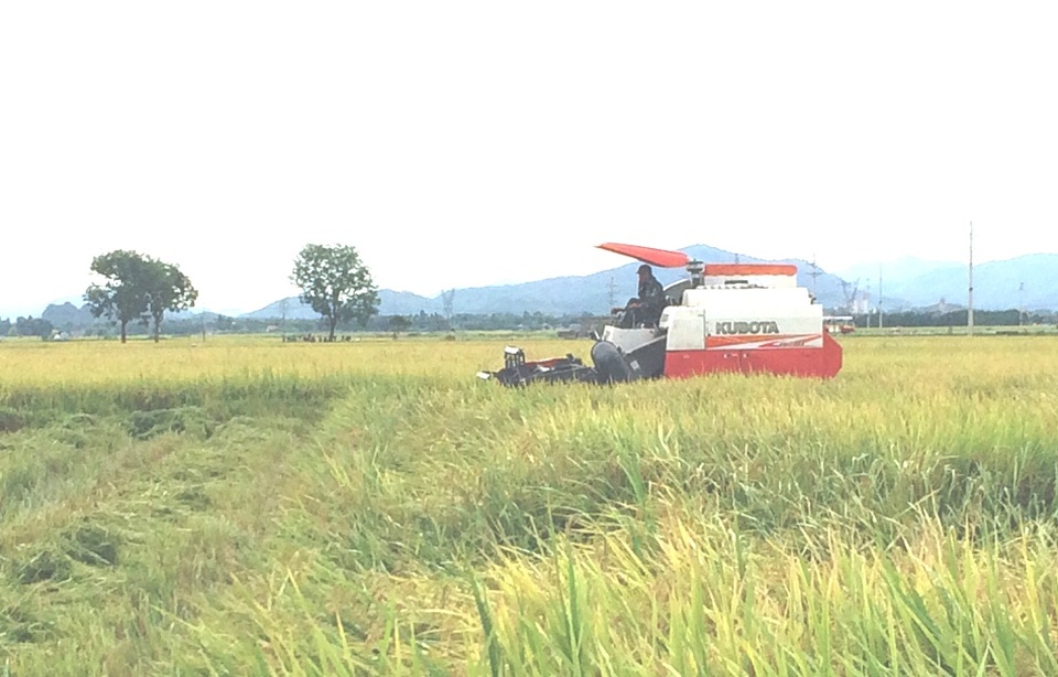 Để được gặt trên cánh đồng, thì mỗi máy gặt phải trả cho xã 2 triệu đồng.