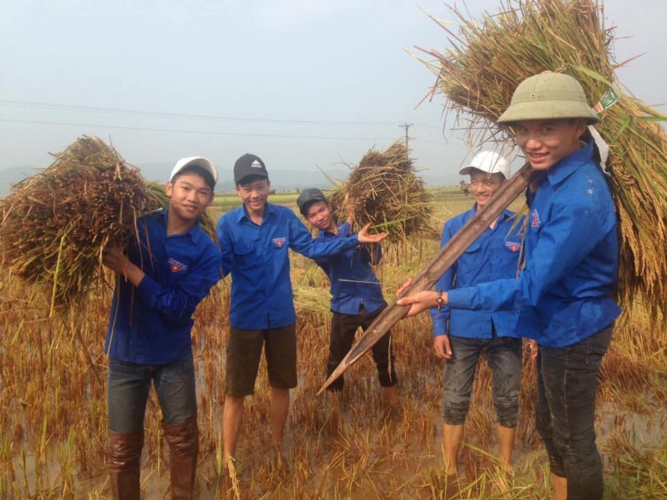 Nghệ An: Thanh niên, bộ đội dầm mình giúp dân gặt lúa sau bão - 11 Đoàn viên thanh niên phấn khởi giúp dân vác lúa lên bờ.