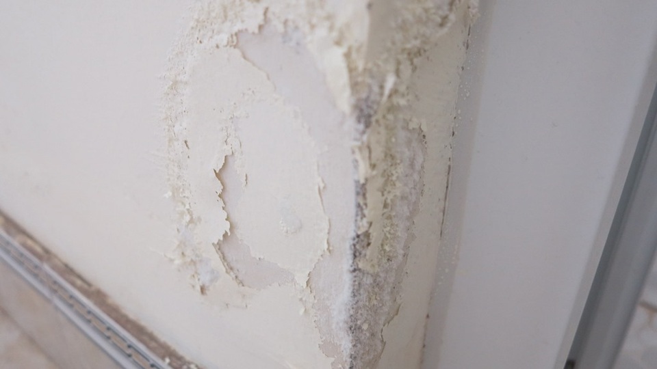 Bờ tường sơn mốc meo và sủi lên từng mảng rơi rớt xuống nhà.