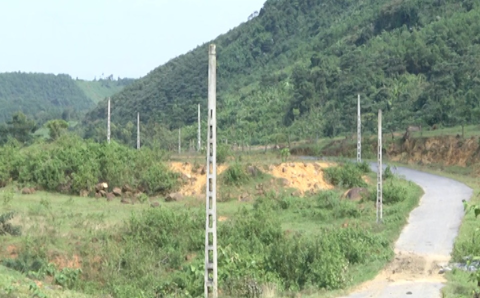 Dự án tiền tỷ bỏ hoang, ước mơ người dân vạn chài dang dở - 9 Hàng chục cột điện đứng trơ trọi và con đường làm vào khu tái định cư cỏ mọc um tùm hai bên.