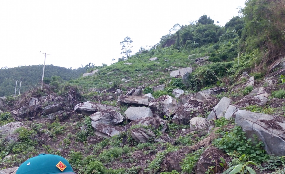 Khoảng 2ha rừng trạng thái 1C bị chặt phá trái phép.