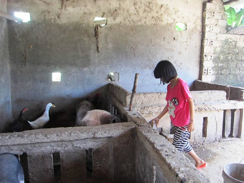 Hằng ngày các em thay nhau chăm lợn, nuôi vịt, gà để đảm bảo cuộc sống.