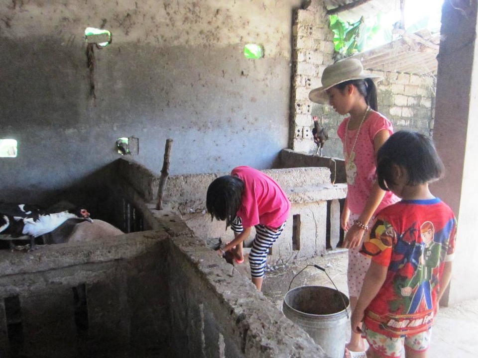 Để có cái ăn, trang trải cuộc sống, các chị em Lan đều giúp nhau trong việc chăm sóc con lợn. Những hôm anh chị đi vắng, hai đứa em út lại quán xuyến công việc trong nhà