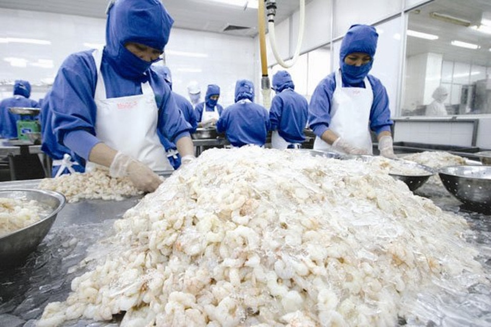 Xuất khẩu tôm thêm khó do Hoa Kỳ tăng thuế chống bán phá giá - 1 (Ảnh minh hoạ).