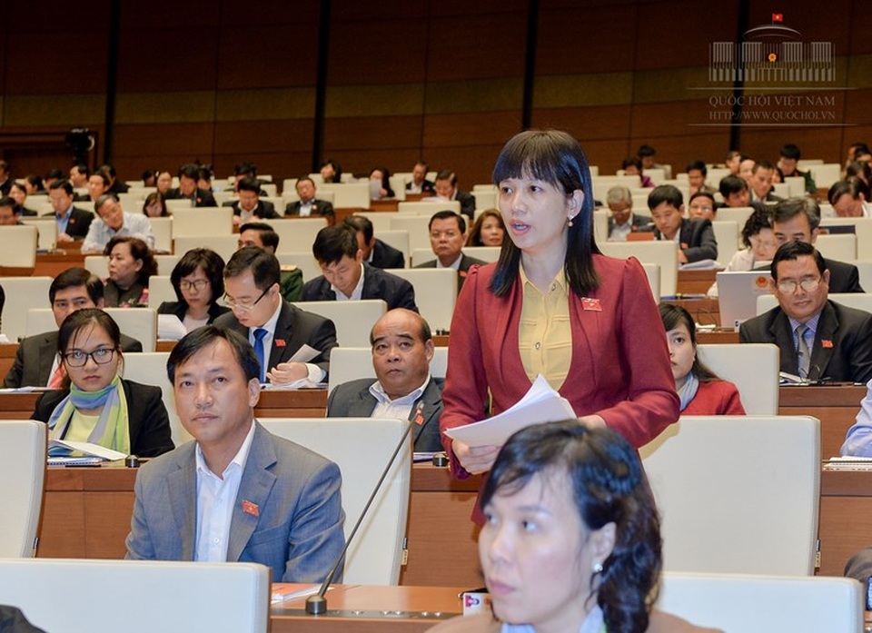 "Nạn nhân bị bạo hành lo chạy còn không xong, lấy đâu ra chứng cứ?" - 1 Đại biểu Điểu Huỳnh Sang (Ảnh: Quochoi.vn)