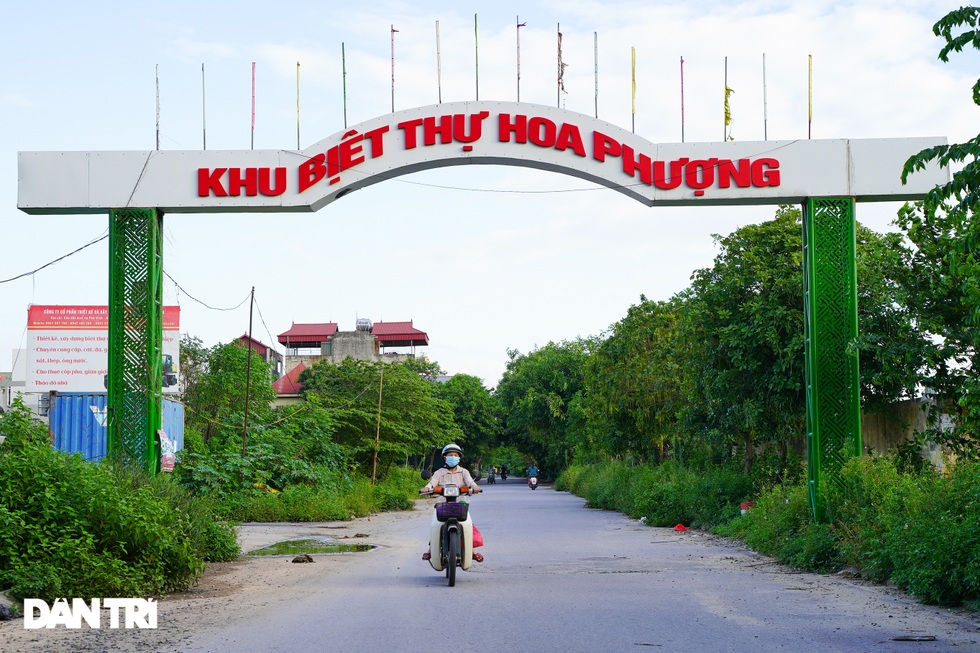 Cận cảnh hàng loạt khu biệt thự bỏ hoang nhiều năm ở ngoại thành Hà Nội - 3