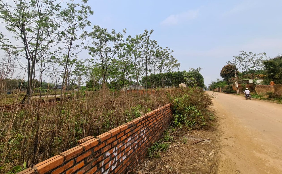 Ồ ạt đầu cơ găm đất khiến giá tăng phi mã, hệ lụy khủng khiếp ra sao? - 4