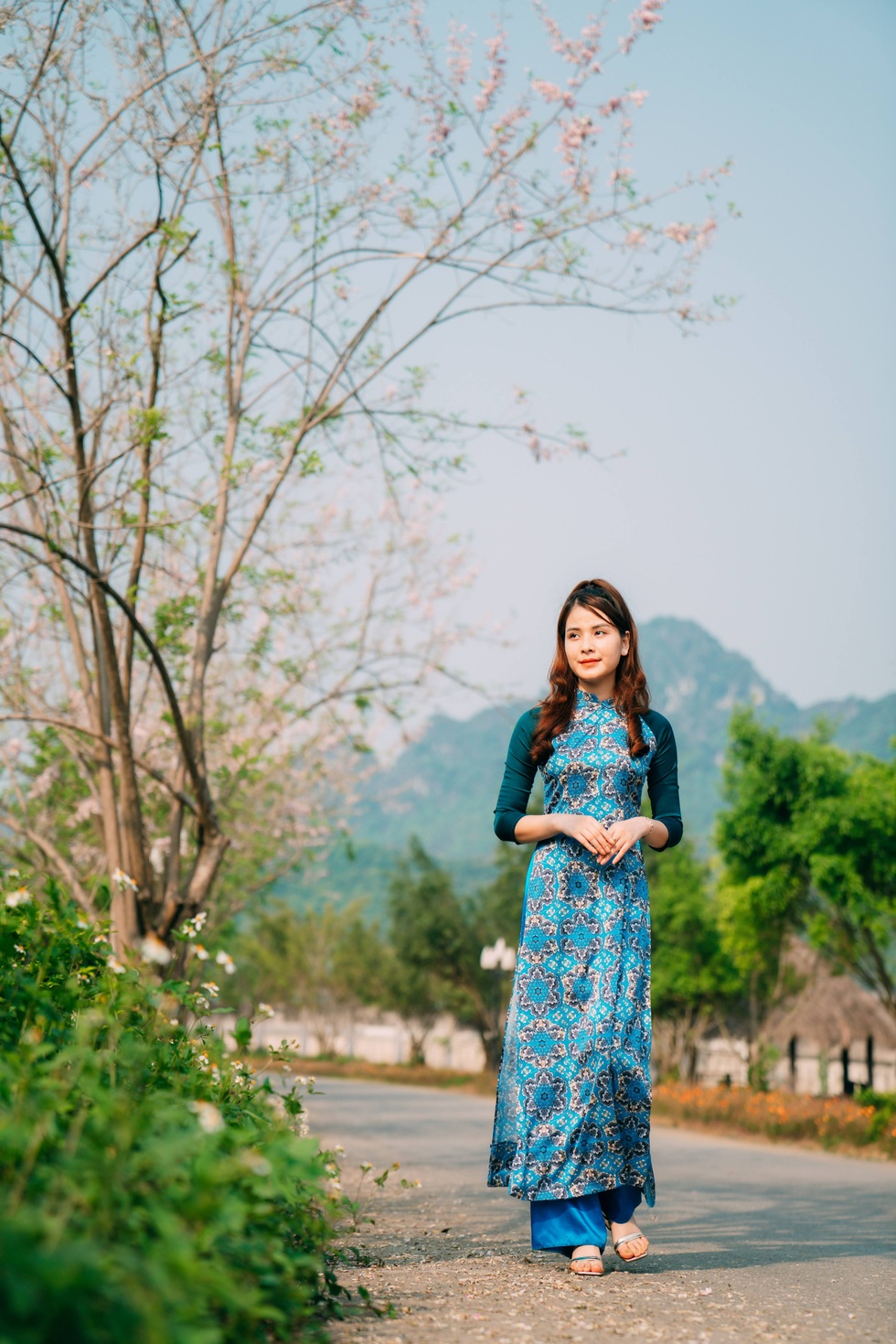 Loài hoa đất nước mặt trời mọc khoe sắc tô điểm chùa lớn nhất Việt Nam - 4 Loài hoa đất nước mặt trời mọc khoe sắc tô điểm chùa lớn nhất Việt Nam - 4