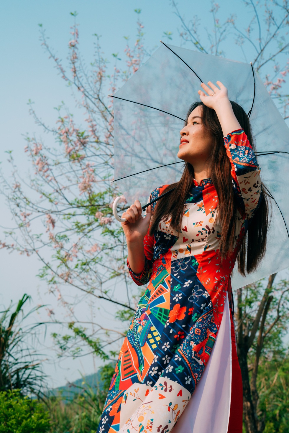 Loài hoa đất nước mặt trời mọc khoe sắc tô điểm chùa lớn nhất Việt Nam - 7 Loài hoa đất nước mặt trời mọc khoe sắc tô điểm chùa lớn nhất Việt Nam - 7
