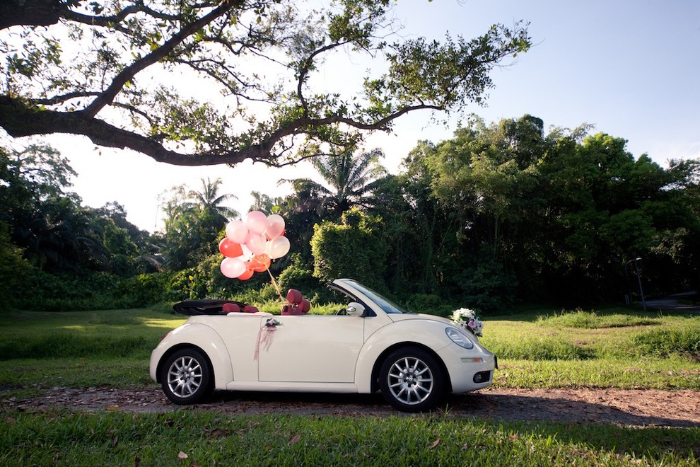 "Con bọ" Beetle - 80 năm một huyền thoại - 28 "Con bọ" Beetle - 80 năm một huyền thoại - 28