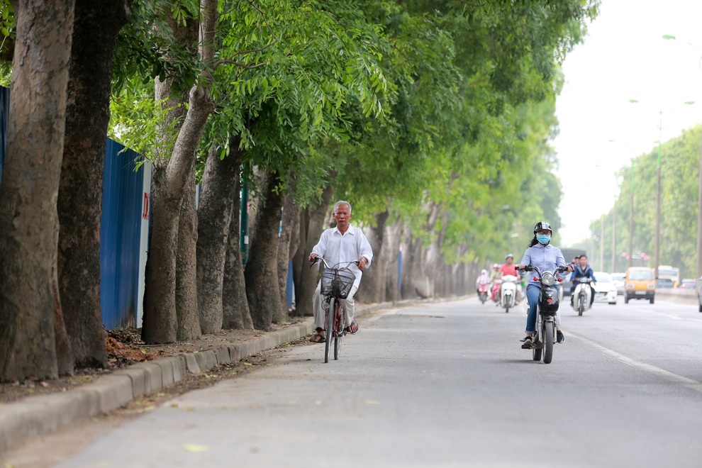 Diện mạo đường Phạm Văn Đồng sau khi chặt hạ hàng cây cổ thụ - 12 Diện mạo đường Phạm Văn Đồng sau khi chặt hạ hàng cây cổ thụ - 12