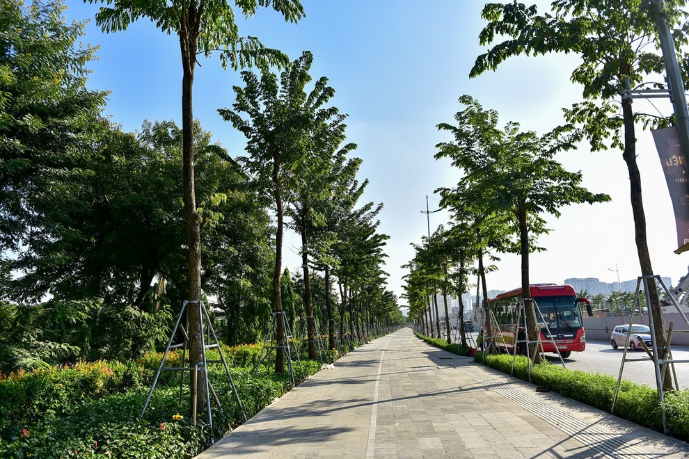 Diện mạo đường Phạm Văn Đồng sau khi chặt hạ hàng cây cổ thụ - 16 Diện mạo đường Phạm Văn Đồng sau khi chặt hạ hàng cây cổ thụ - 16