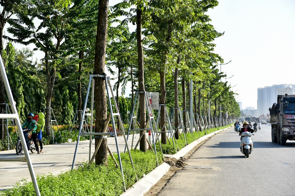 Diện mạo đường Phạm Văn Đồng sau khi chặt hạ hàng cây cổ thụ - 11 Diện mạo đường Phạm Văn Đồng sau khi chặt hạ hàng cây cổ thụ - 11