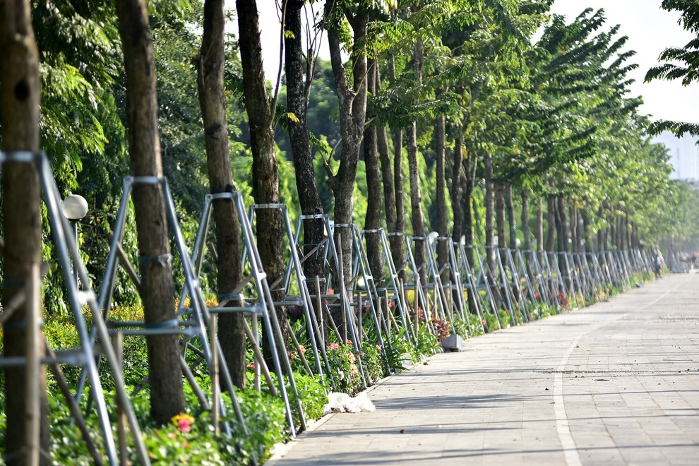 Diện mạo đường Phạm Văn Đồng sau khi chặt hạ hàng cây cổ thụ - 13 Diện mạo đường Phạm Văn Đồng sau khi chặt hạ hàng cây cổ thụ - 13