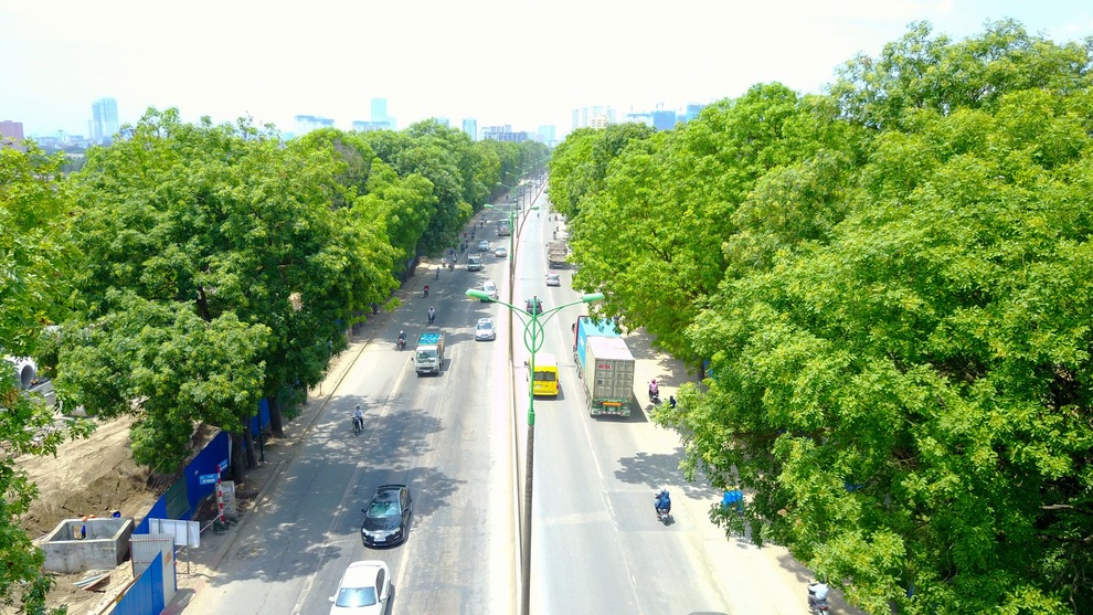 Diện mạo đường Phạm Văn Đồng sau khi chặt hạ hàng cây cổ thụ - 7 Diện mạo đường Phạm Văn Đồng sau khi chặt hạ hàng cây cổ thụ - 7