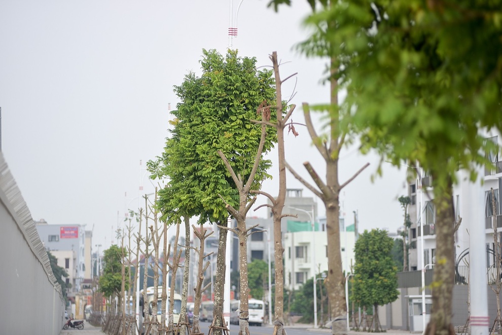 Ngắm con đường 650m đầu tư 200 tỷ mới thông tại Hà Nội - 12